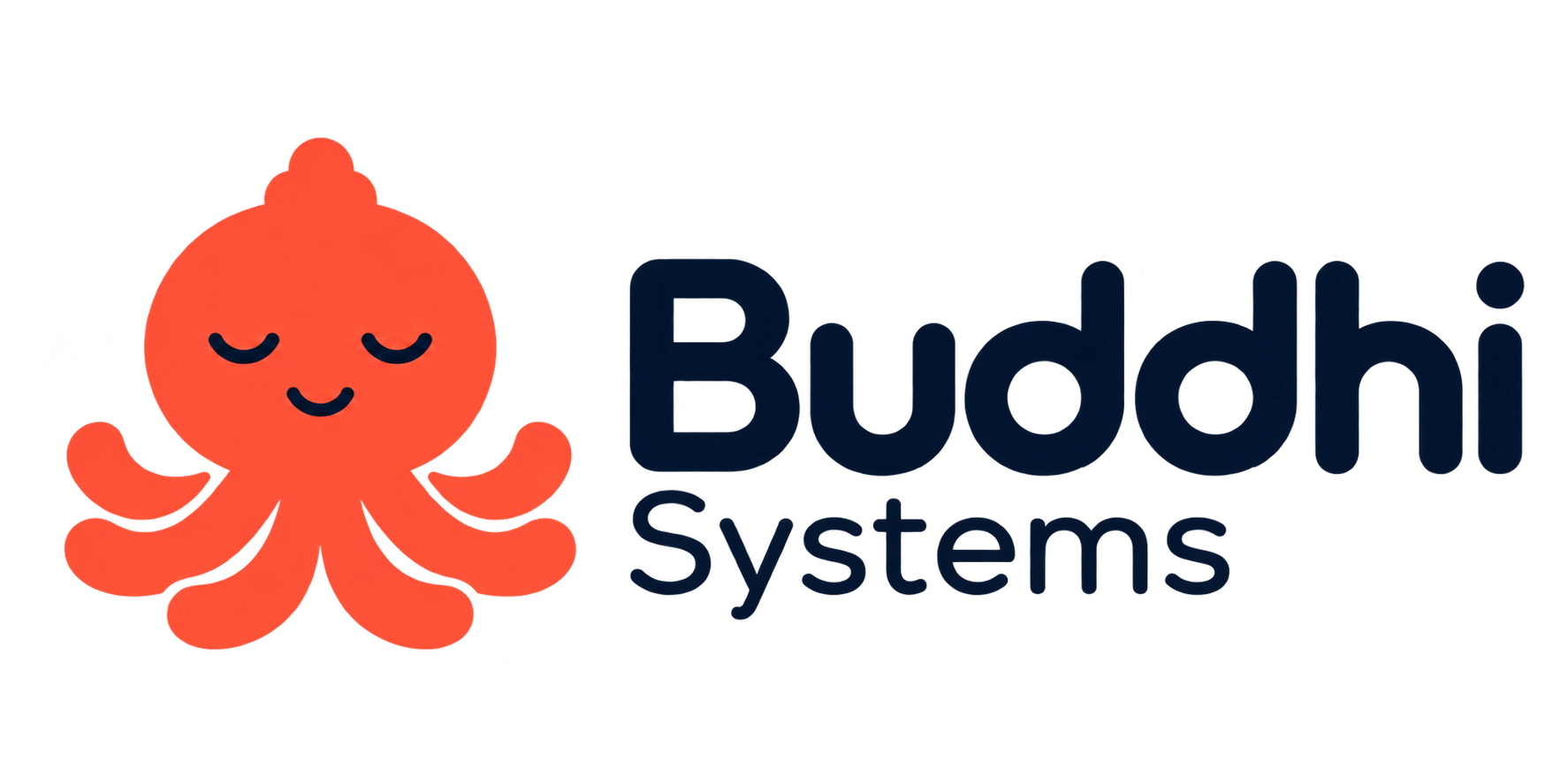 Buddhi Systems